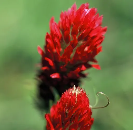 Kronenhof - Wein Und Ferien Gau-Algesheim